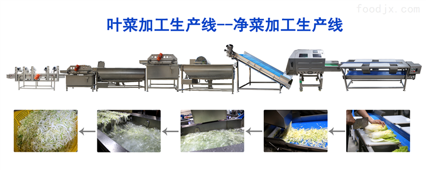 净菜加工流水线